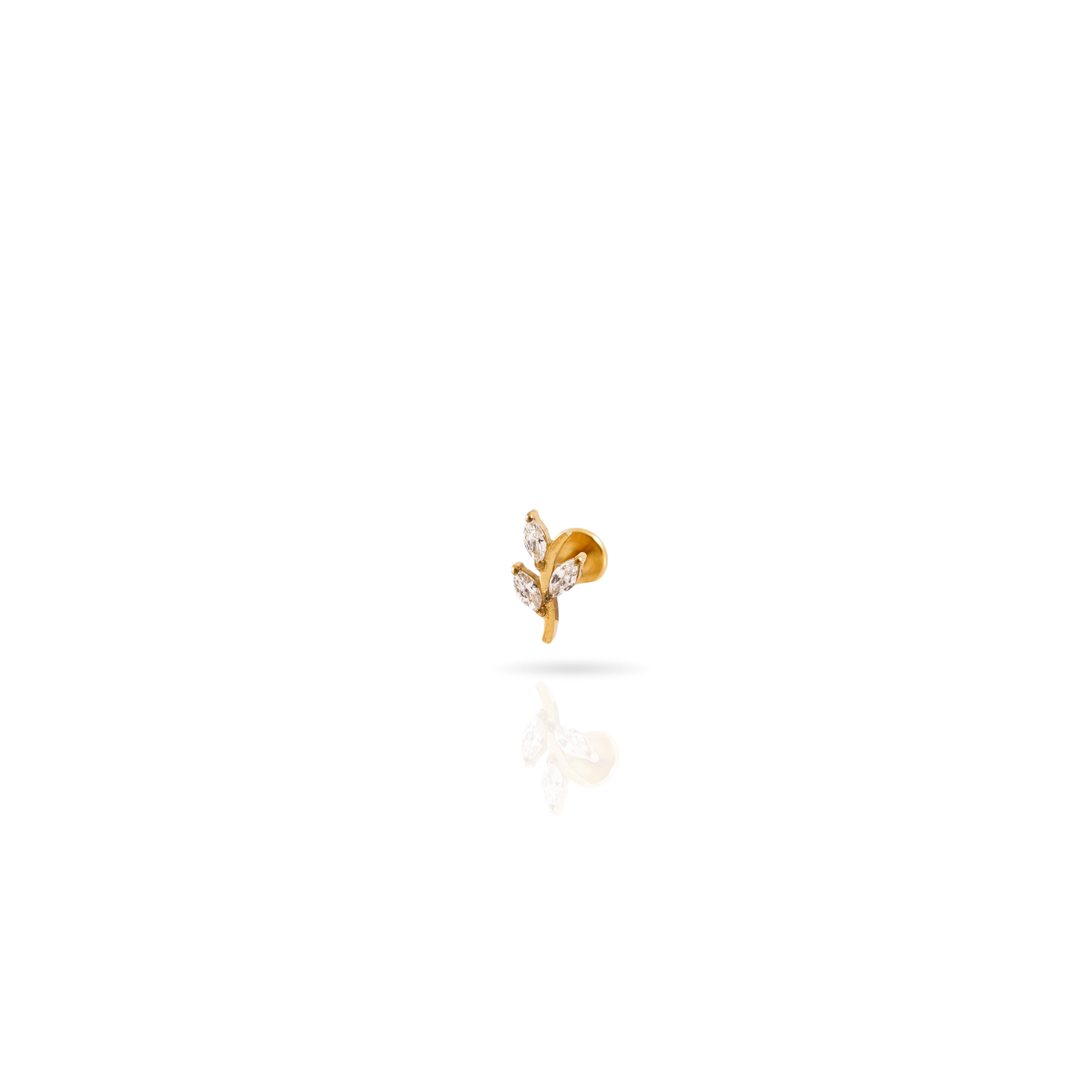 Olivia_G_e2ff2058-8d35-4d46-b0f1-447c0a61e7d0.png