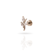 Olivia